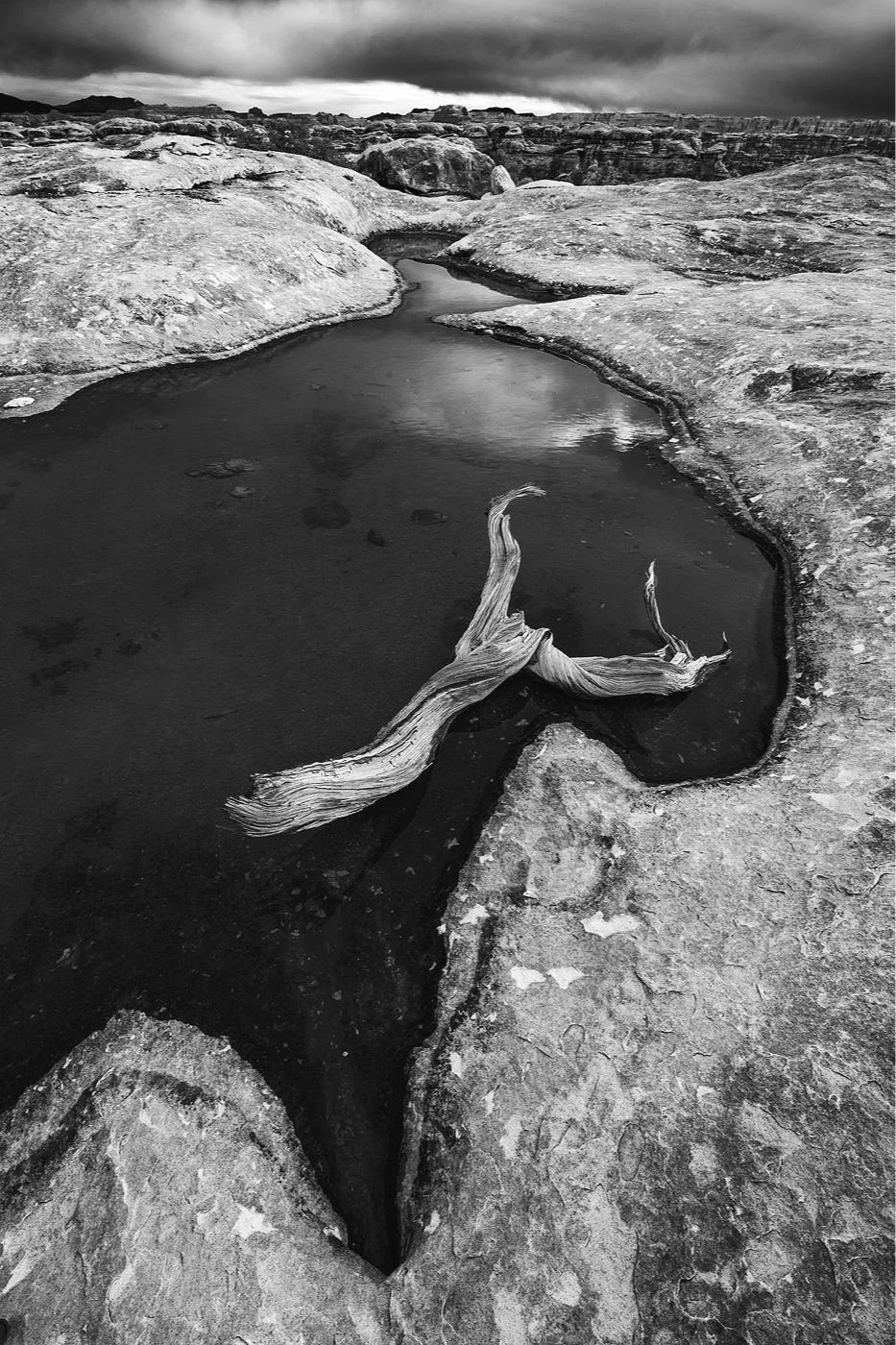 Moody black and white view of The Needles, Canyonlands