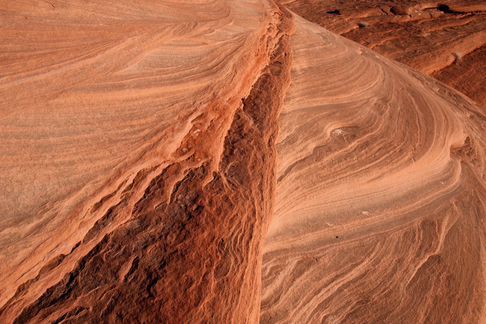 Bartlett Wash sandstone detail, by Bruce Hucko