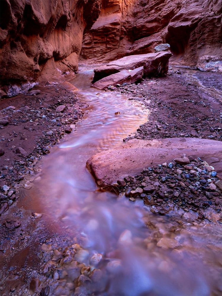 A slender stream threading the pink and red walls of a narrow sandstone canyon, by Colleen Miniuk