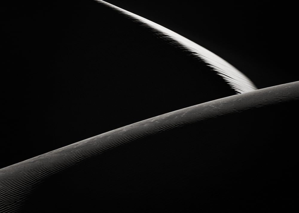 Minimalist sweeping curves of sand dune ridgelines against deep shadow, black and white, by Michael E. Gordon