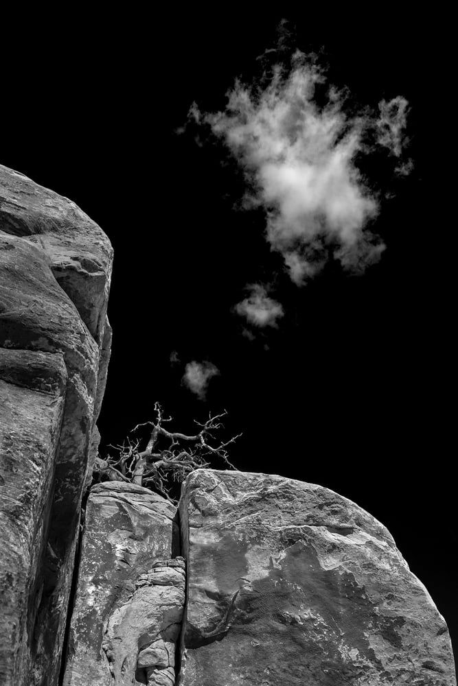 A weathered branch wedged in a sandstone cleft beneath a billowing cloud against a dark sky, black and white, by Bruce Hucko