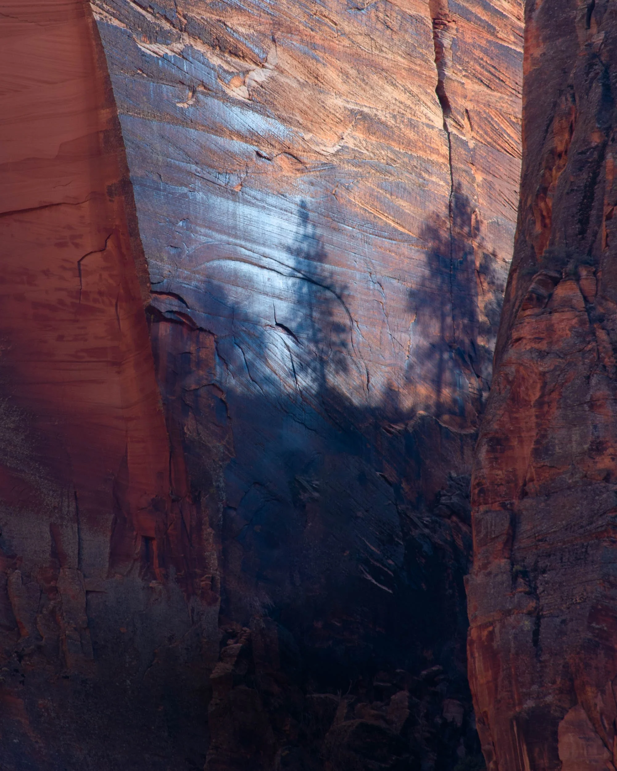 Reflected light on red sandstone canyon walls, by Jennifer Renwick