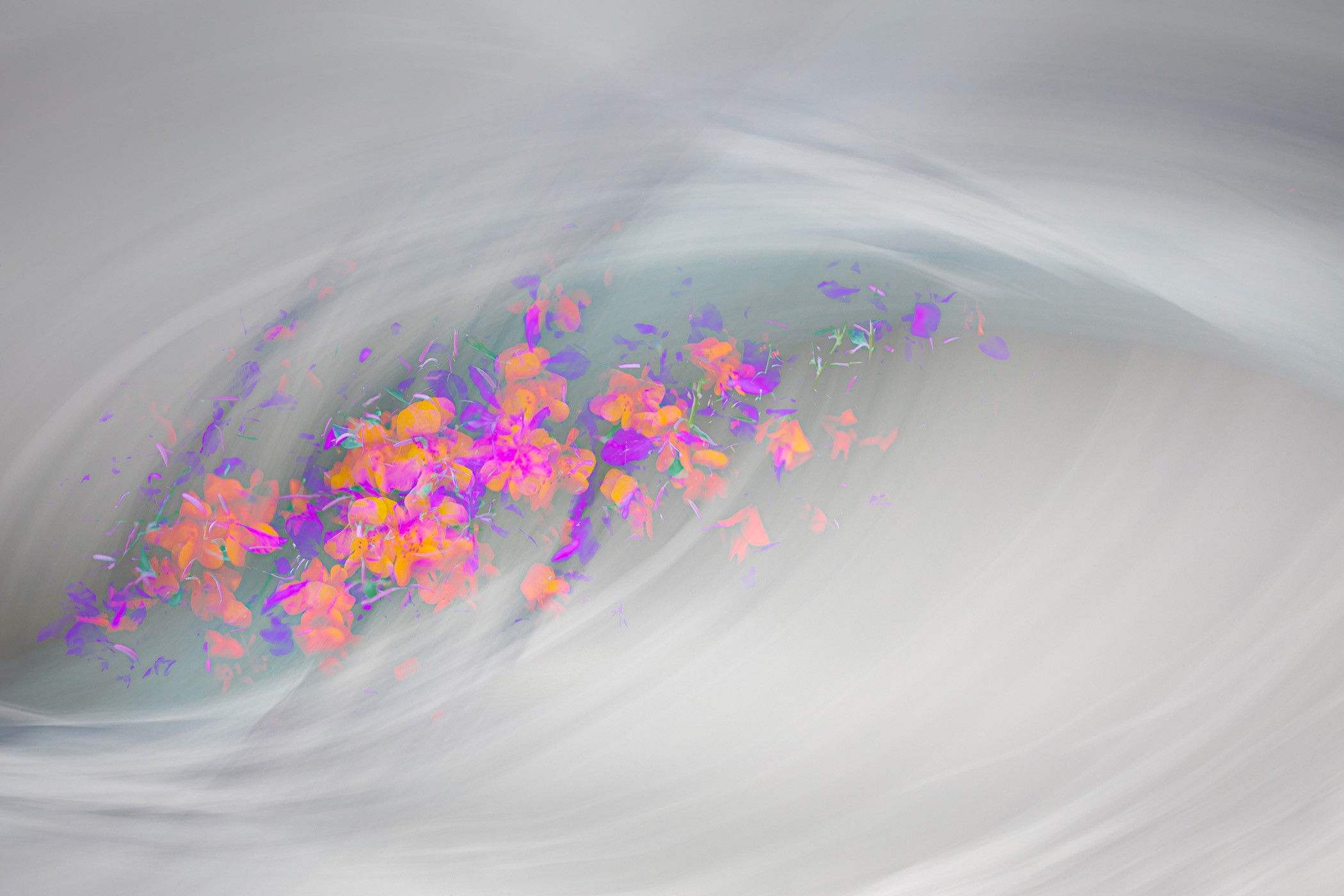 Soft ICM and multiple-exposure abstract of pink and orange wildflowers swirling through pale mist, Portage Glacier Alaska, by Stephanie Johnson